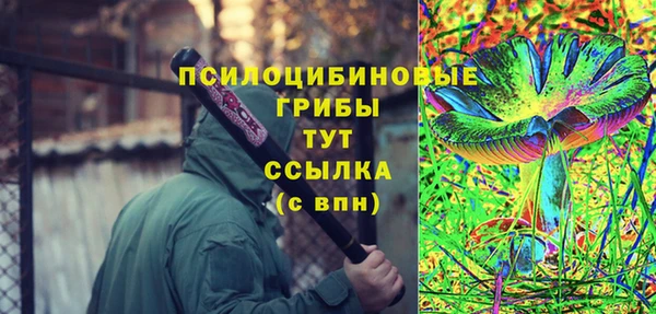 дживик Каменногорск