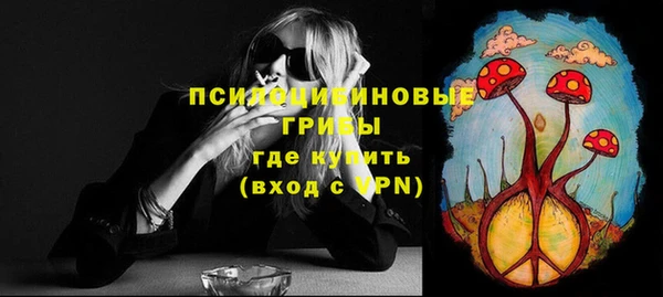 дживик Каменногорск