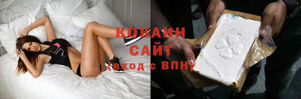 хмурый Каменка