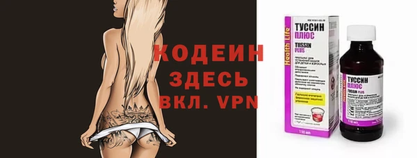 хмурый Каменка