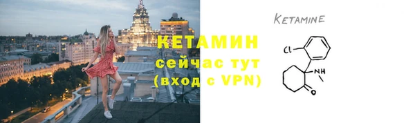 хмурый Каменка