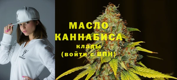 хмурый Каменка