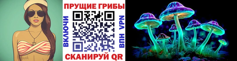 Псилоцибиновые грибы MAGIC MUSHROOMS  Ужур 